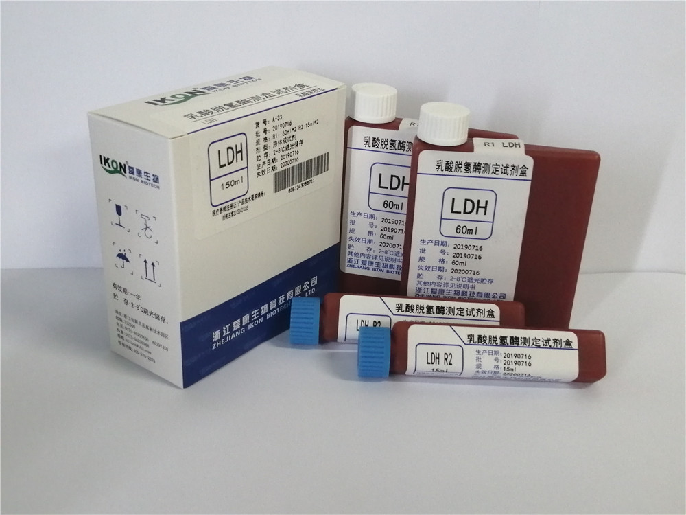 LDH乳酸脱氢酶测定试剂盒（乳酸底物法）