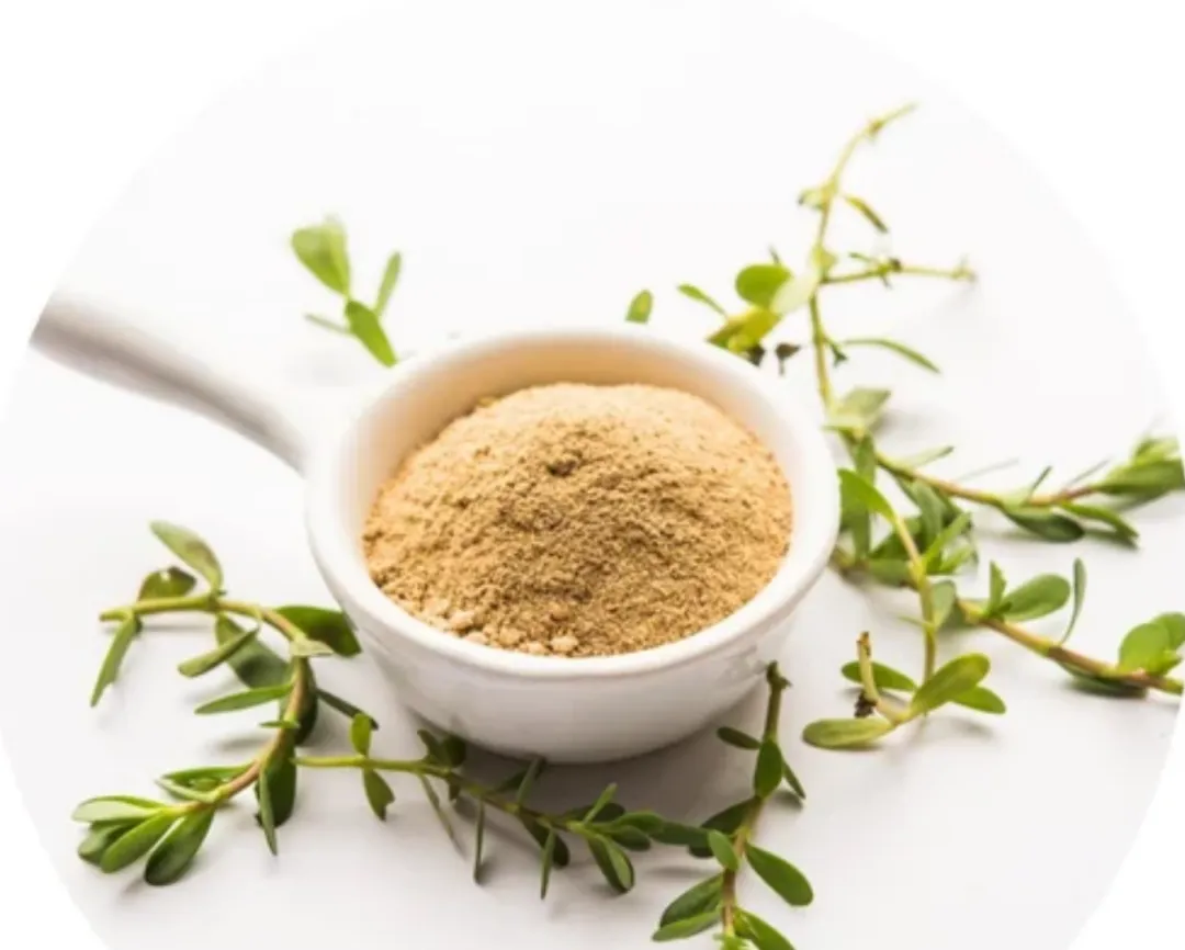 情绪管理的“成分答案”——假马齿苋 为何称为“认知与情绪调节剂”，进口保健品代工厂带来阐释