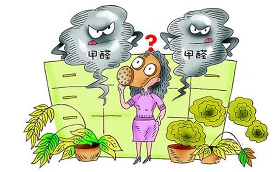 常见除甲醛原理与方法