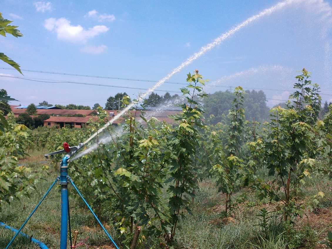 内蒙古金属果园灌溉喷头的特点是什么