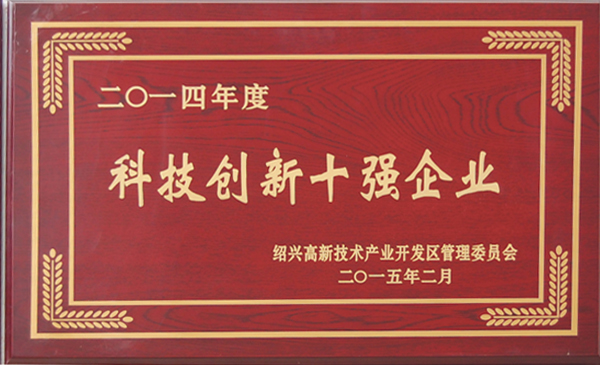 Top 10 Enterprises in Technological Innovation