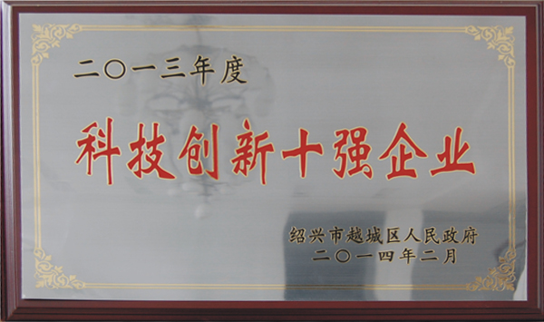 Top 10 Enterprises in Technological Innovation