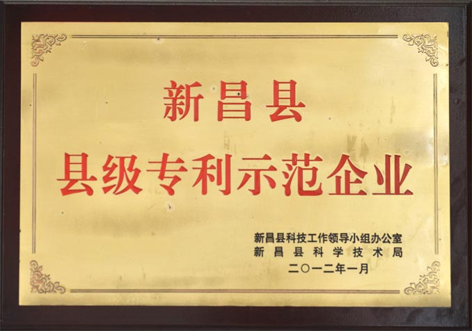 縣級專利示范企業