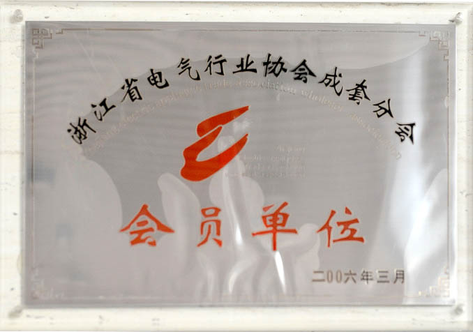 浙江省電氣行業(yè)協(xié)會(huì)成套分會(huì)會(huì)員