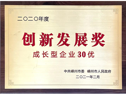 创新发展奖