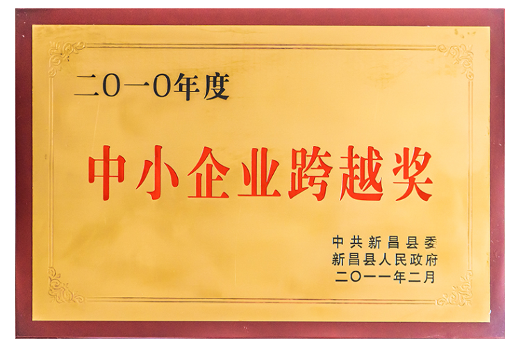 中小企业跨越奖