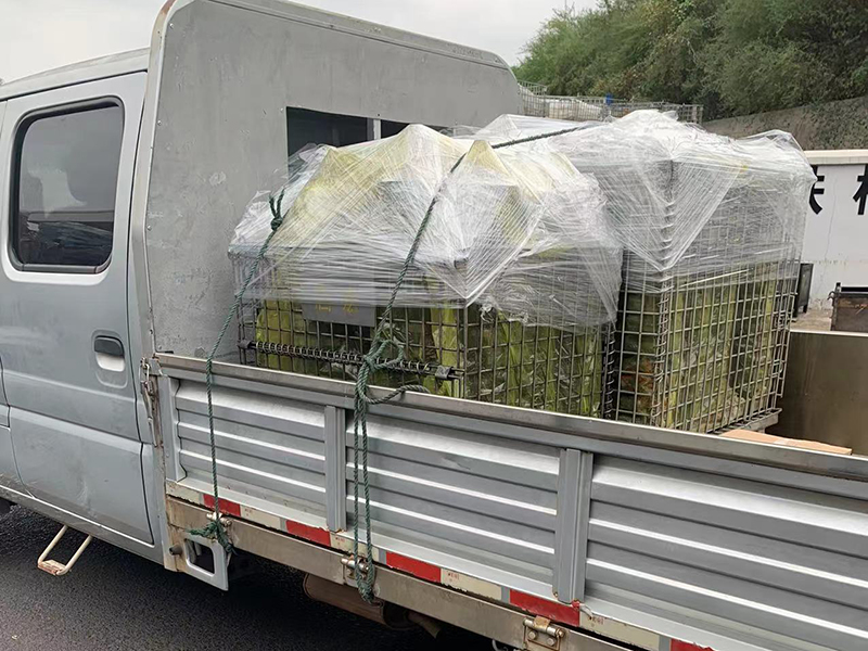 曲軸旋壓皮帶輪490和495發(fā)貨